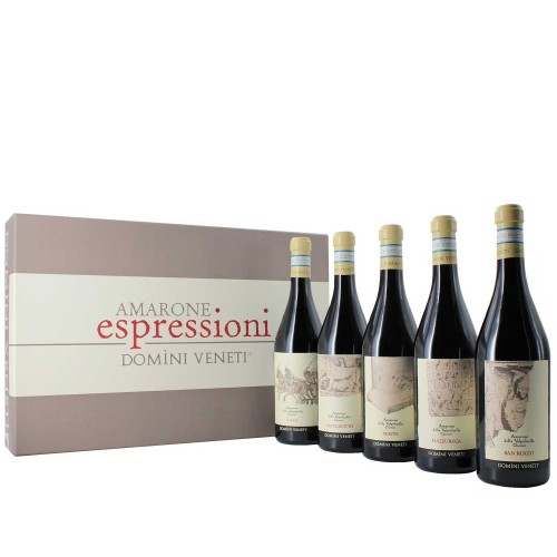 Cassetta Amarone della Valpolicella Espressioni 2011 75 cl X 5 Domini Veneti